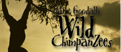 Jane Goolall's Wild Chimpanzees