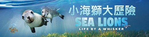 99. Sea Lions: Life by a Whisker