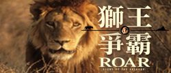 Roar, Lions of the Kalahari