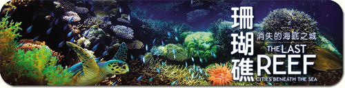 珊 瑚 礁 ─ 消 失 的 海 底 之 城	