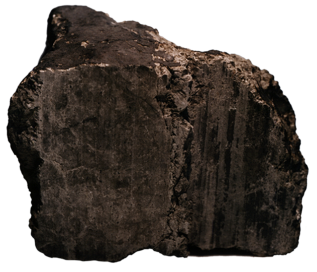 Martian meteorite ALH84001