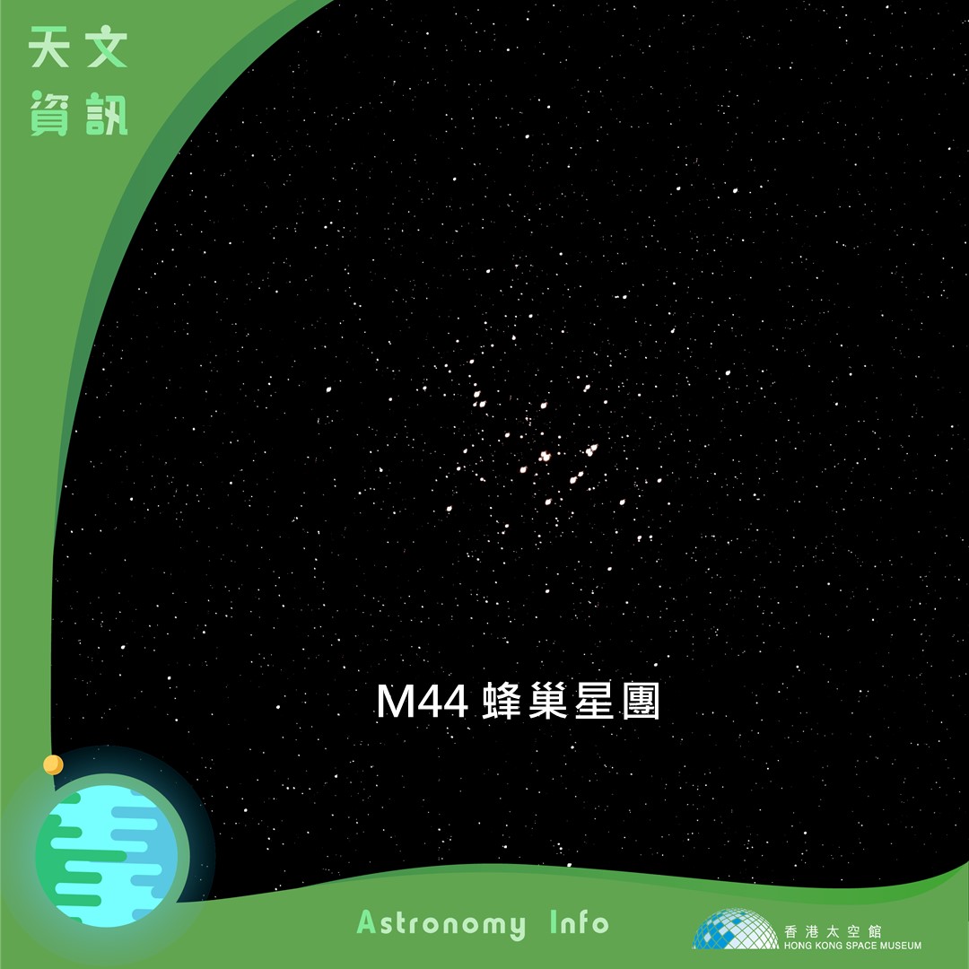 M44蜂巢星團