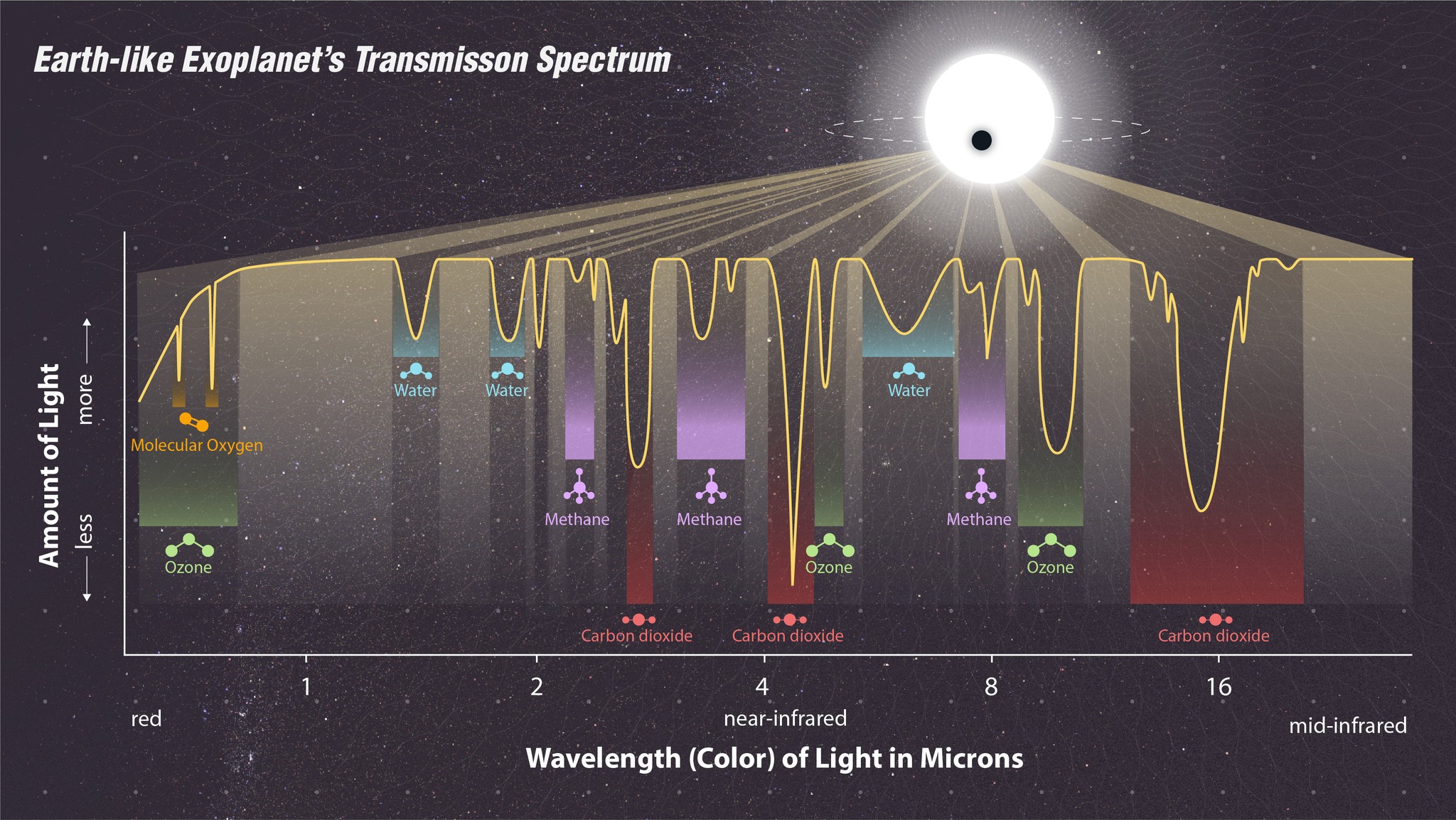 模拟系外行星的透射光谱，显示出水分子(water)、二氧化碳(carbon dioxide)、甲烷(methane)及臭氧(ozone)吸收光的位置。天文学家透过分析系外行星的透射光谱，找出其大气层成分。                                          图片鸣谢: NASA, ESA, CSA, STScI, Joseph Olmsted (STScI)