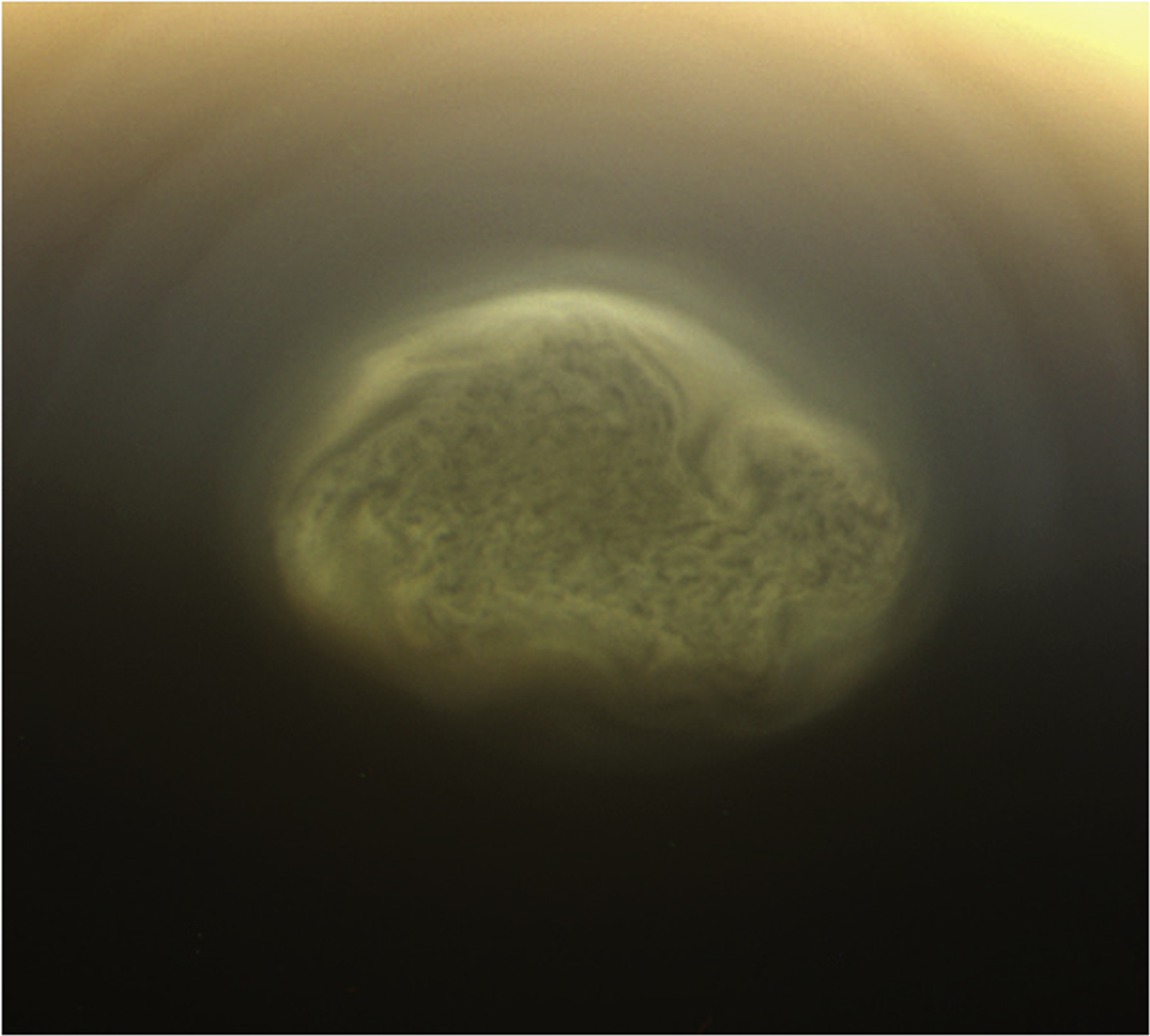 卡西尼號於2012年拍攝的泰坦南極渦旋雲。該雲大小達48萬公里，可能由氰化氫冰或液體組成。                                          圖片鳴謝: NASA/JPL/Space Science Institute.